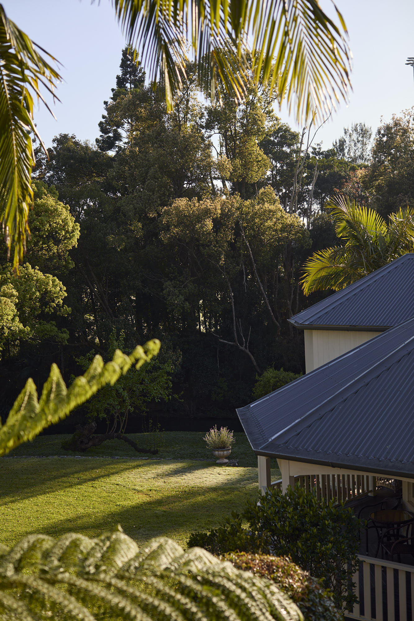 Peaceful garden and guesthouse views from the Miller Apartment balcony at Bangalow Guesthouse in the Byron Bay hinterland