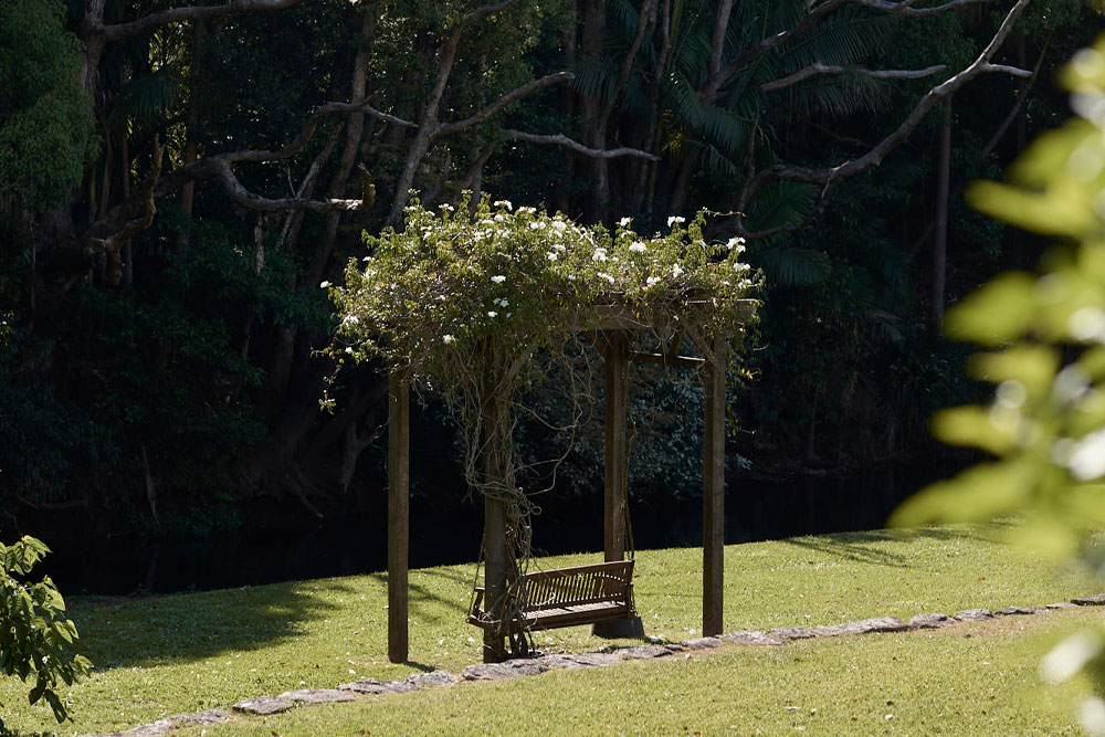 Garden Archway Swing Seat — Bangalow Guesthouse Garden archway swing seat at Bangalow Guesthouse surrounded by lush greenery — an Instagram-worthy photo spot